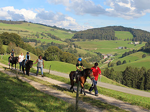 Ferien auf dem Bauernhof in Münstertal