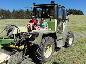 Ferien auf dem Bauernhof in Münstertal