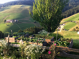 Ferien auf dem Bauernhof in Münstertal