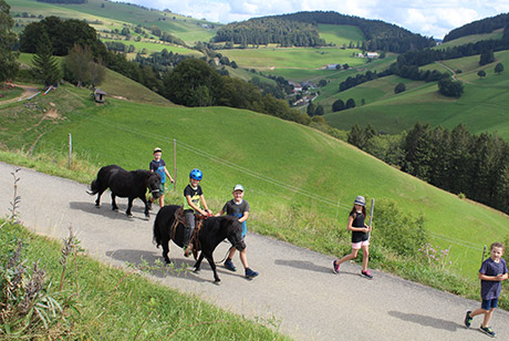 Breitnauhof in Münstertal - Schwarzwald