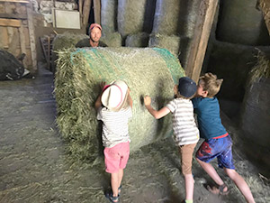 Ferien auf dem Bauernhof in Münstertal