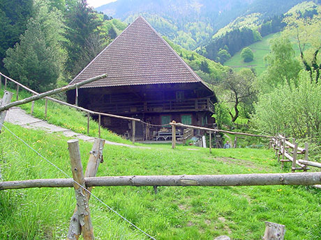 Schwarzwaldhaus   in Münstertal