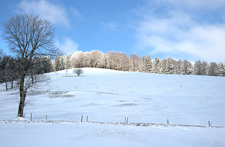 Breitnauhof in Münstertal - Schwarzwald